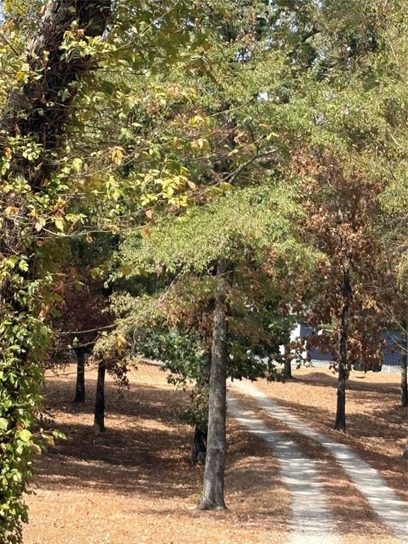 927 Indian Gap, Quitman TX 75783 - Photo 33