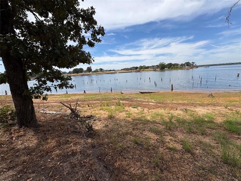 927 Indian Gap, Quitman TX 75783 - Photo 14