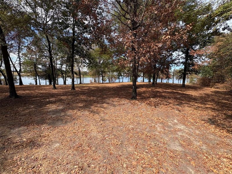 927 Indian Gap, Quitman TX 75783 - Photo 18