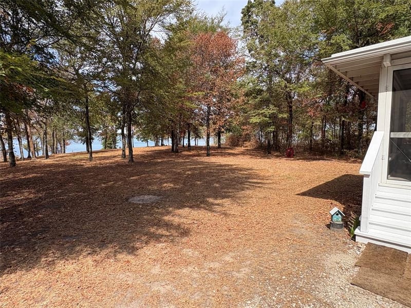 927 Indian Gap, Quitman TX 75783 - Photo 19