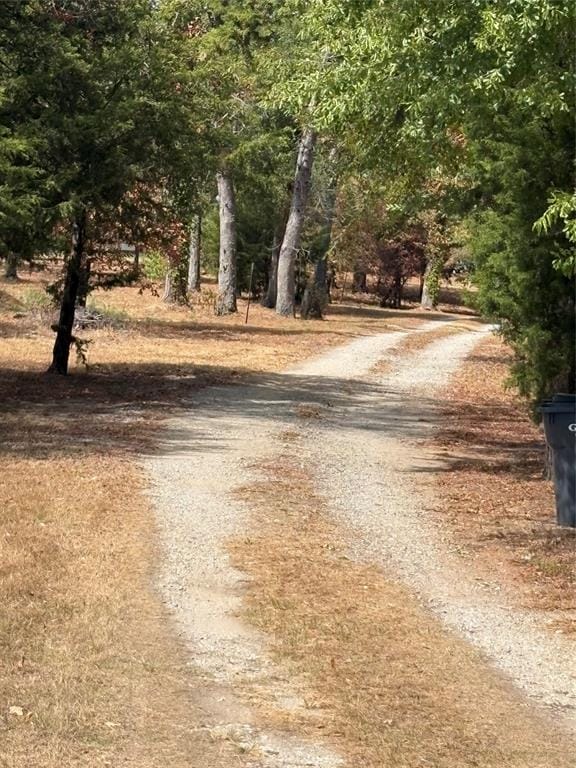 927 Indian Gap, Quitman TX 75783 - Photo 35