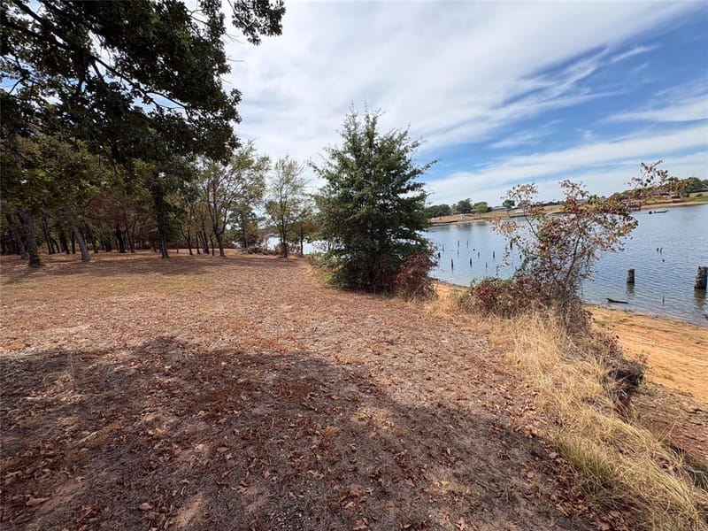927 Indian Gap, Quitman TX 75783 - Photo 21