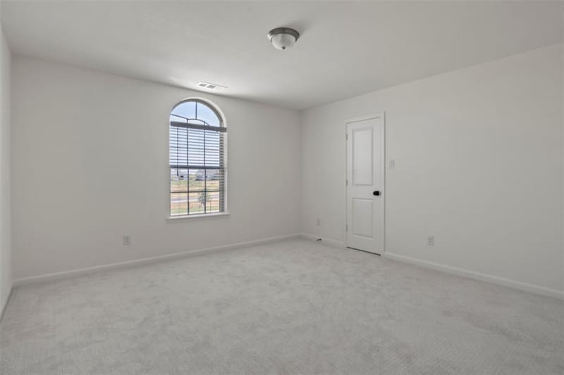 1432 Bettolo Drive, Celina TX 75009 - Photo 27