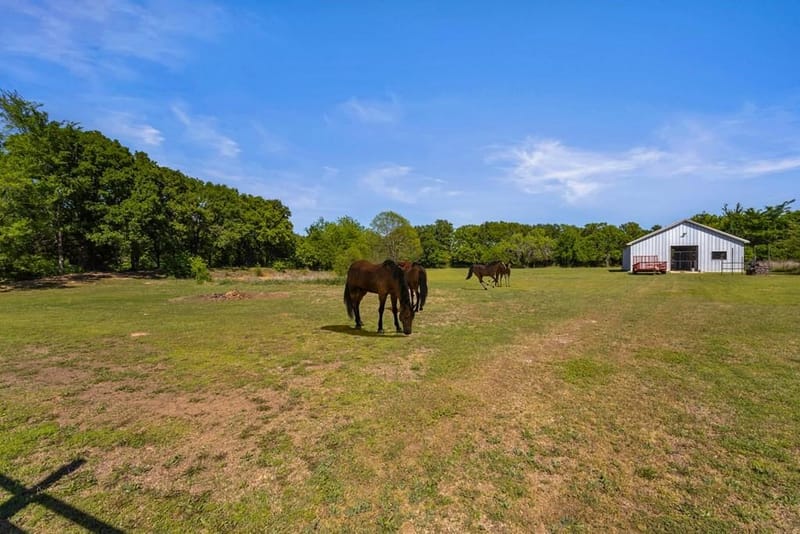 17909 Terrace Drive, Kemp TX 75143 - Photo 33