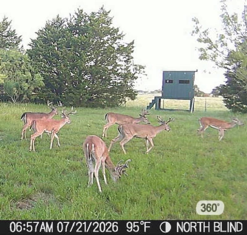 315 County Road 2240, Kerens TX 75144 - Photo 32