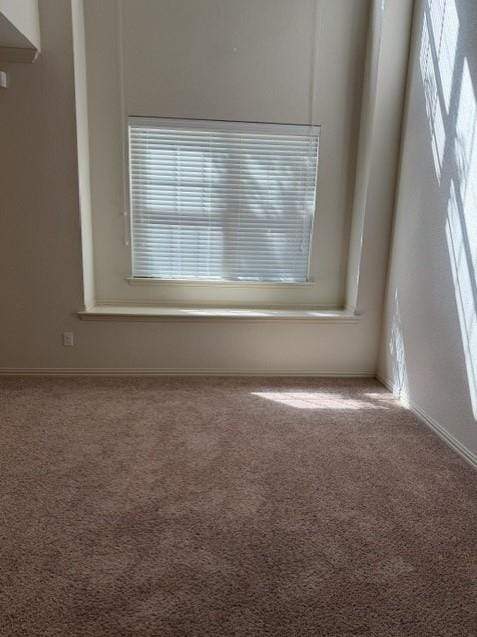 6828 Pascal Way, Fort Worth TX 76137 - Photo 5