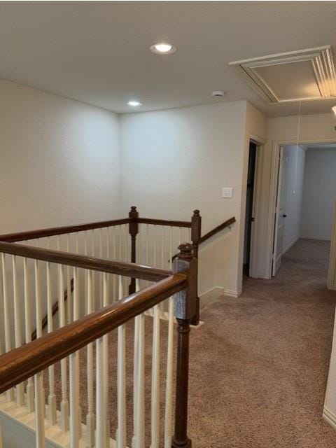 6828 Pascal Way, Fort Worth TX 76137 - Photo 18