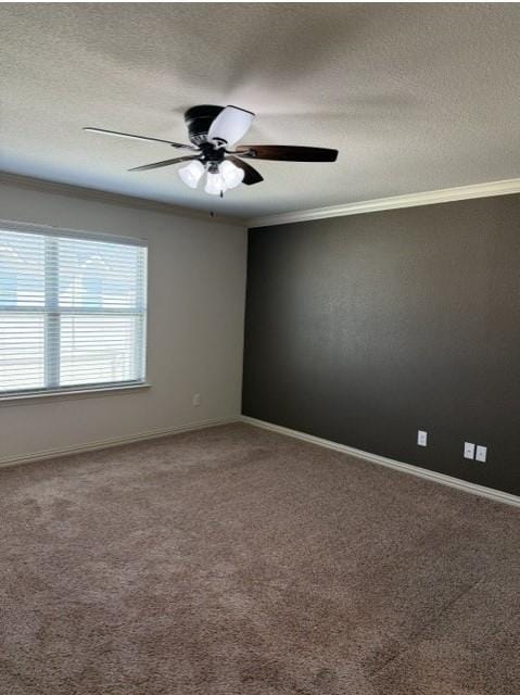 6828 Pascal Way, Fort Worth TX 76137 - Photo 19