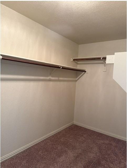 6828 Pascal Way, Fort Worth TX 76137 - Photo 21