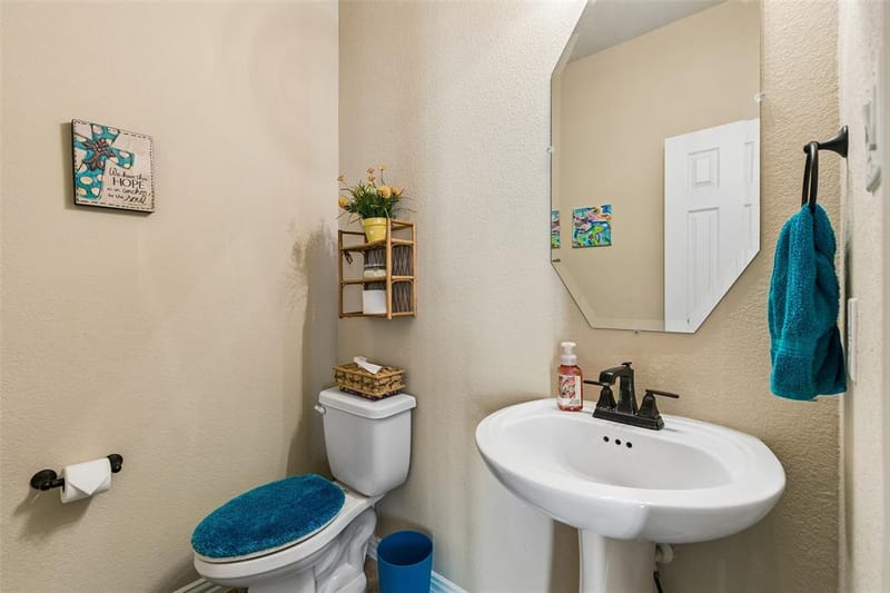 305 Fountain Creek Court, Ovilla TX 75154 - Photo 18