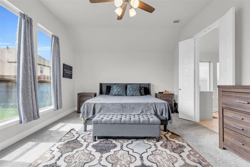 361 Moonvine Drive, Little Elm TX 75068 - Photo 14