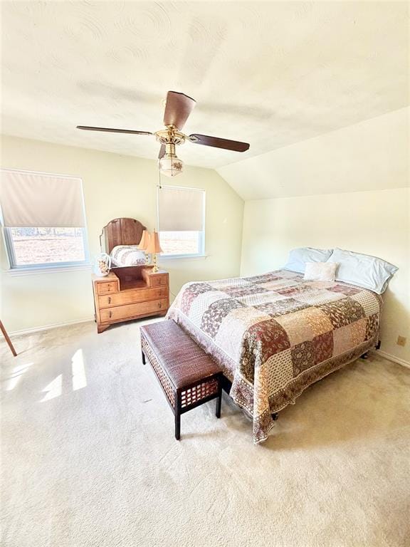 2284 Mitchell Road, Krum TX 76249 - Photo 24
