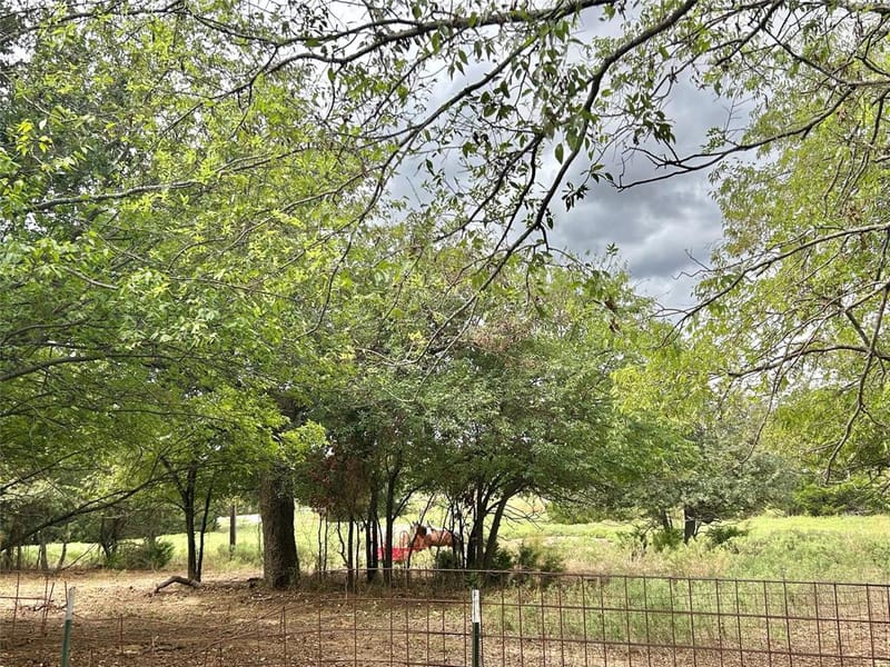 3211 Fm 678, Gainesville TX 76240 - Photo 13