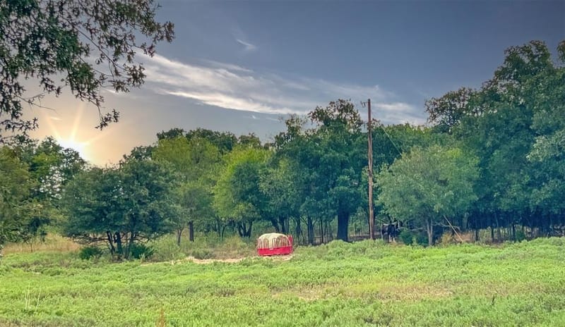3211 Fm 678, Gainesville TX 76240 - Photo 12