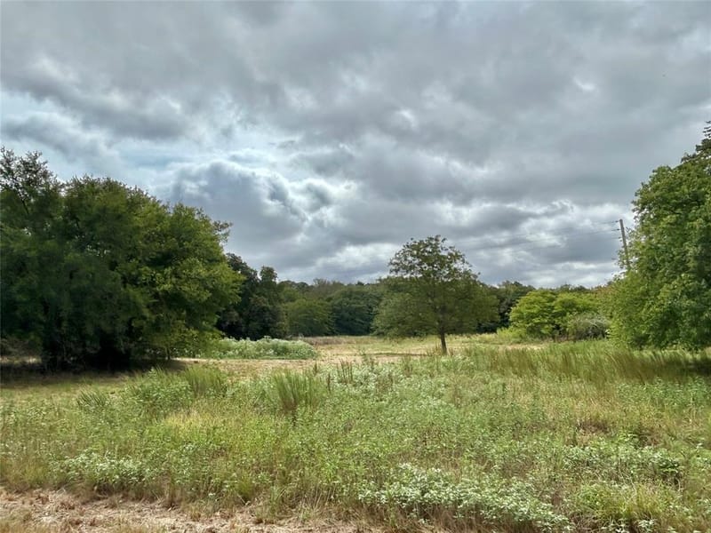 3211 Fm 678, Gainesville TX 76240 - Photo 28