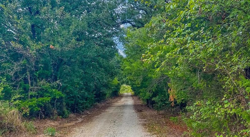 3211 Fm 678, Gainesville TX 76240 - Photo 9