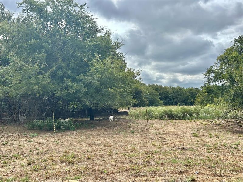 3211 Fm 678, Gainesville TX 76240 - Photo 30