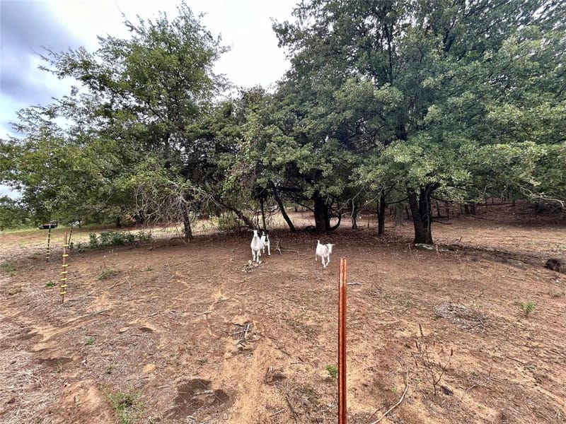 3211 Fm 678, Gainesville TX 76240 - Photo 14