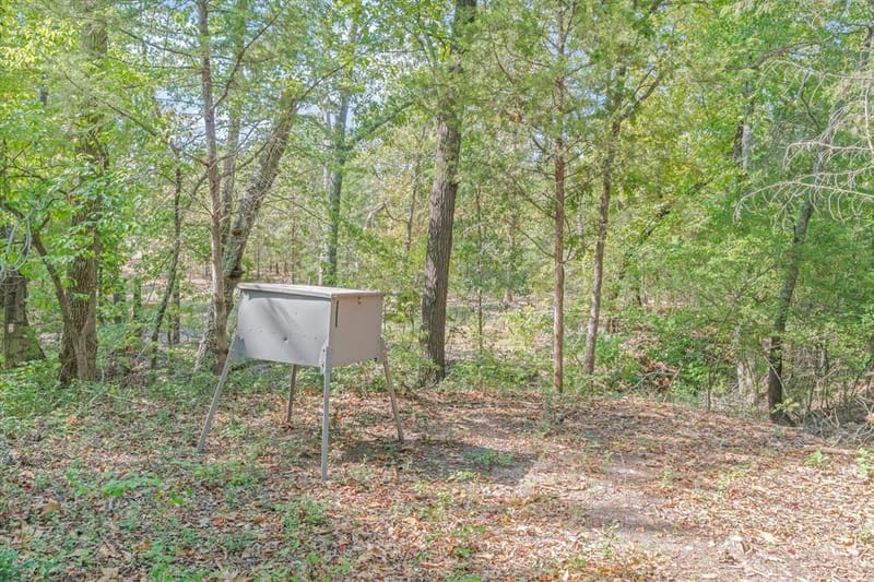 9217 Fm 1861, Eustace TX 75124 - Photo 36