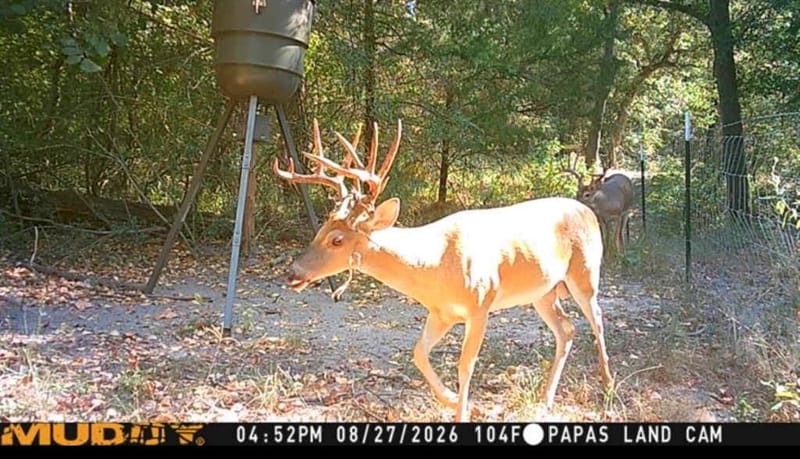 9217 Fm 1861, Eustace TX 75124 - Photo 5