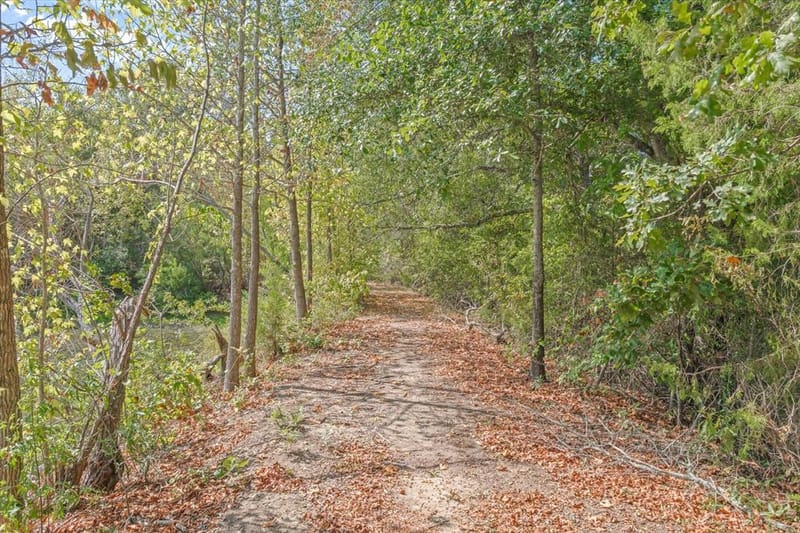 9217 Fm 1861, Eustace TX 75124 - Photo 34