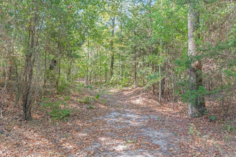 9217 Fm 1861, Eustace TX 75124 - Photo 38