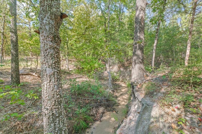 9217 Fm 1861, Eustace TX 75124 - Photo 37