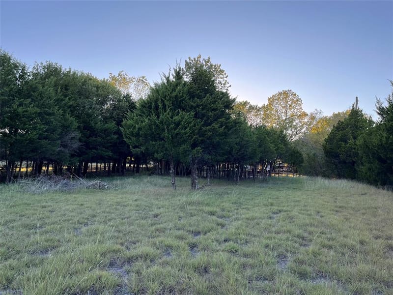 804 Laurence Drive, Heath TX 75032 - Photo 7