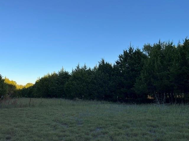 804 Laurence Drive, Heath TX 75032 - Photo 8