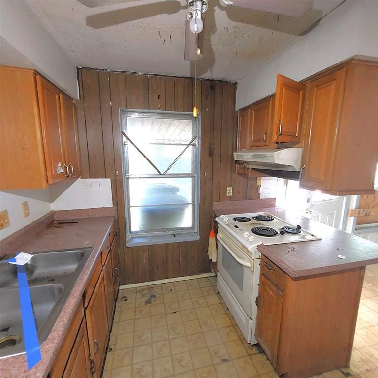 802 Dove Lane, Sherman TX 75090 - Photo 10