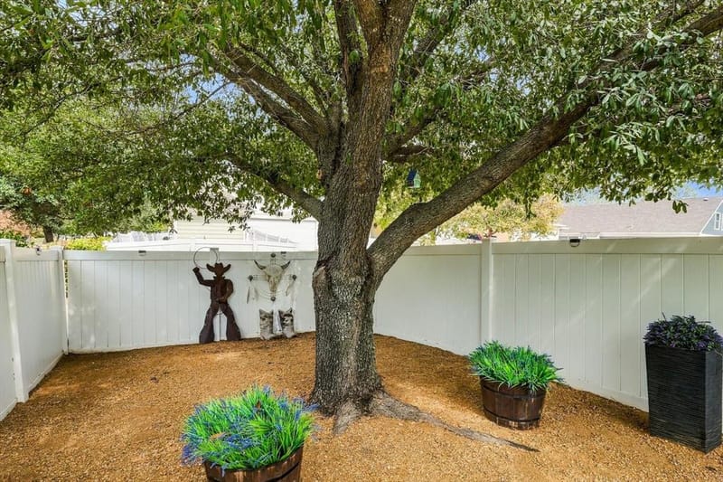 1901 Brown Thrasher Boulevard, Savannah TX 76227 - Photo 31
