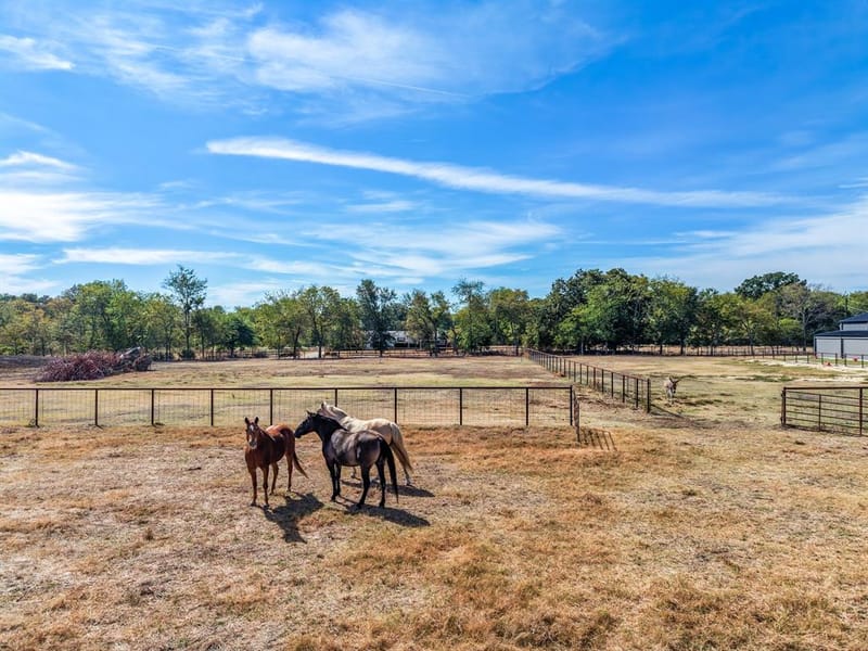 297 County Road 4820, Sulphur Springs TX 75482 - Photo 38