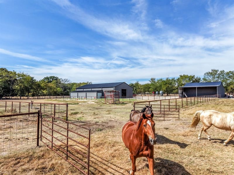 297 County Road 4820, Sulphur Springs TX 75482 - Photo 37