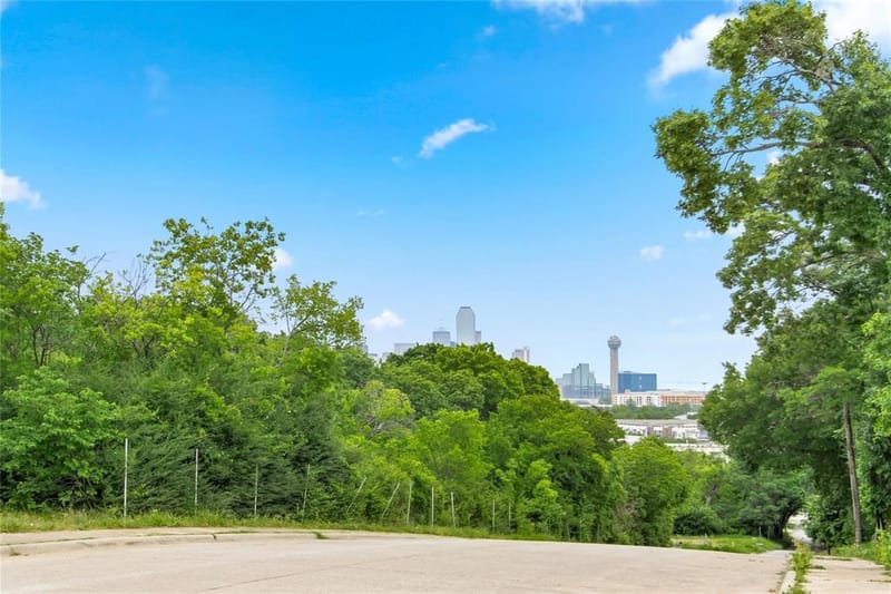 1269 Clifftop Lane, Dallas TX 75208 - Photo 21