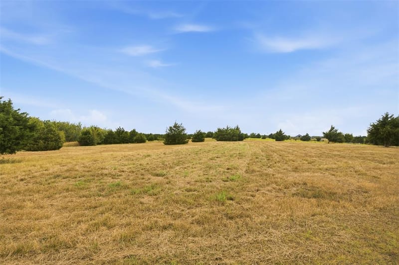 5541 County Road 1130, Farmersville TX 75442 - Photo 34