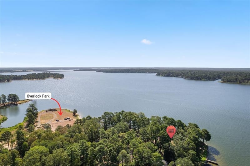 829 Wildwood Trail, Mount Vernon TX 75457 - Photo 4