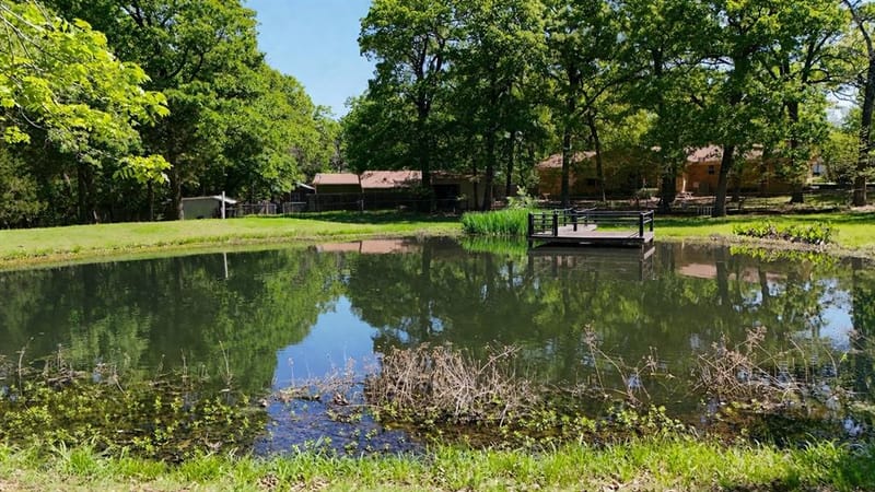125 Harrell Street, Gun Barrel City TX 75156 - Photo 5