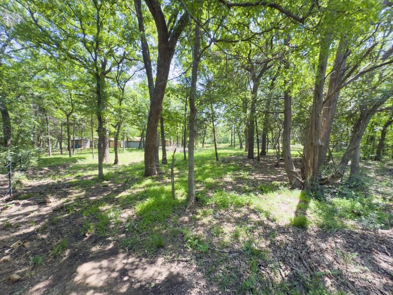 125 Harrell Street, Gun Barrel City TX 75156 - Photo 38