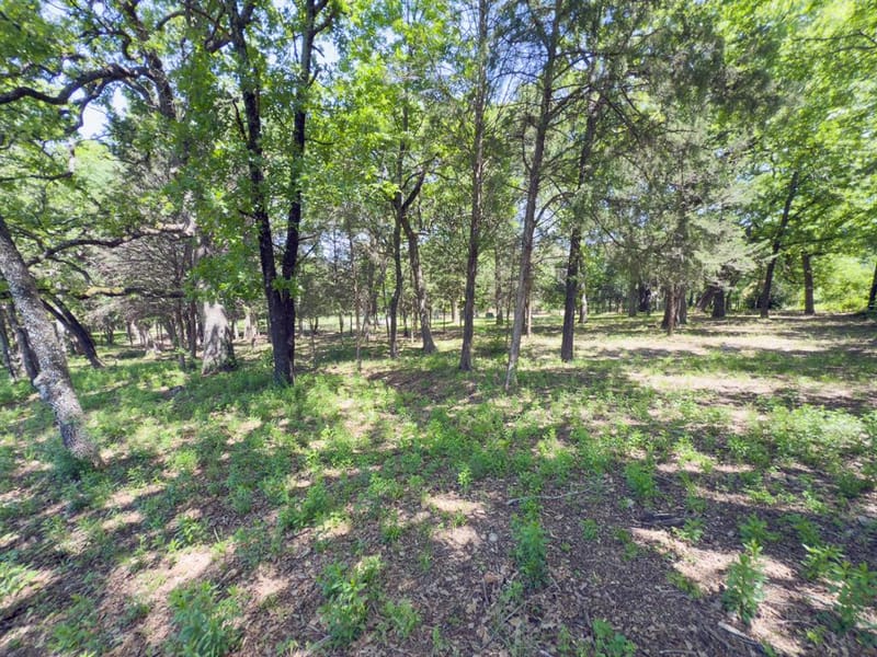 125 Harrell Street, Gun Barrel City TX 75156 - Photo 39