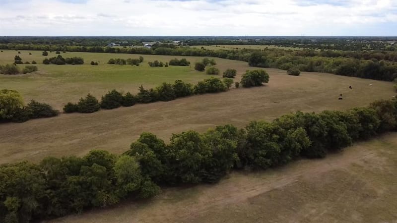 18830 Johnson Lane, Farmersville TX 75442 - Photo 6