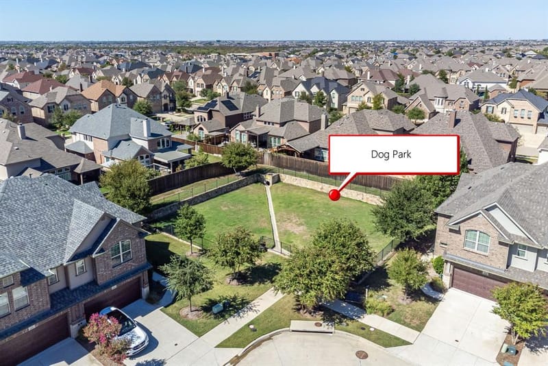 2700 Starburst Drive, Little Elm TX 75068 - Photo 34