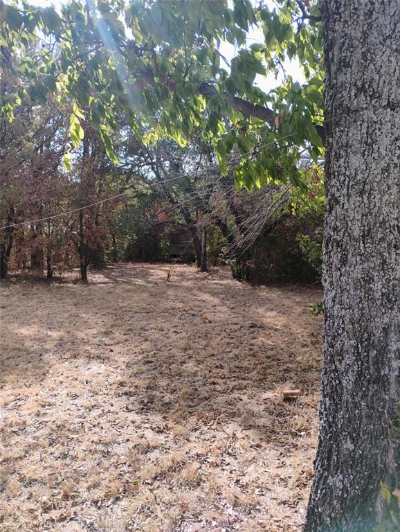 909 Live Oak Street, Lake Bridgeport TX 76426 - Photo 18