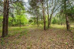 12770 E US 175 E, Larue TX 75770 - Photo 9