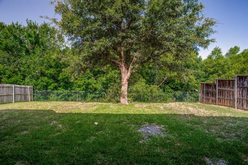 2845 Laurel Oak Drive, McKinney TX 75071 - Photo 24