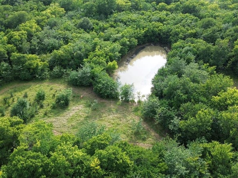 4081 Fm 2736, Campbell TX 75422 - Photo 2