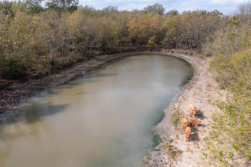 4081 Fm 2736, Campbell TX 75422 - Photo 30