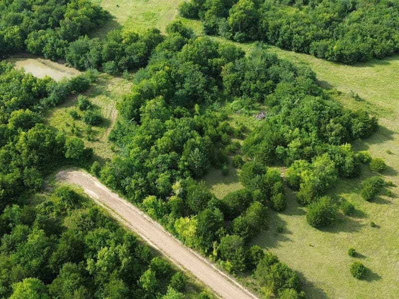 4081 Fm 2736, Campbell TX 75422 - Photo 33