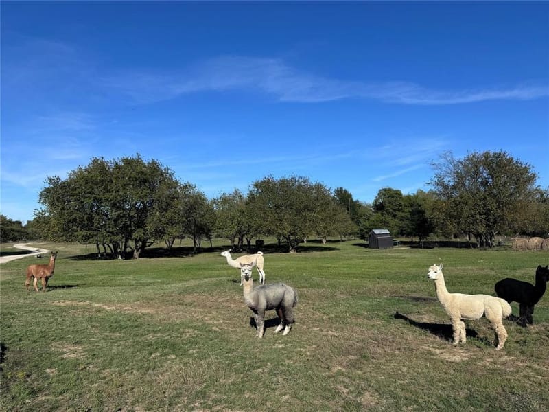 4081 Fm 2736, Campbell TX 75422 - Photo 29