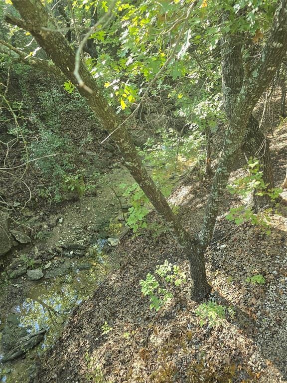 934 Private Road 4011, Decatur TX 76234 - Photo 34