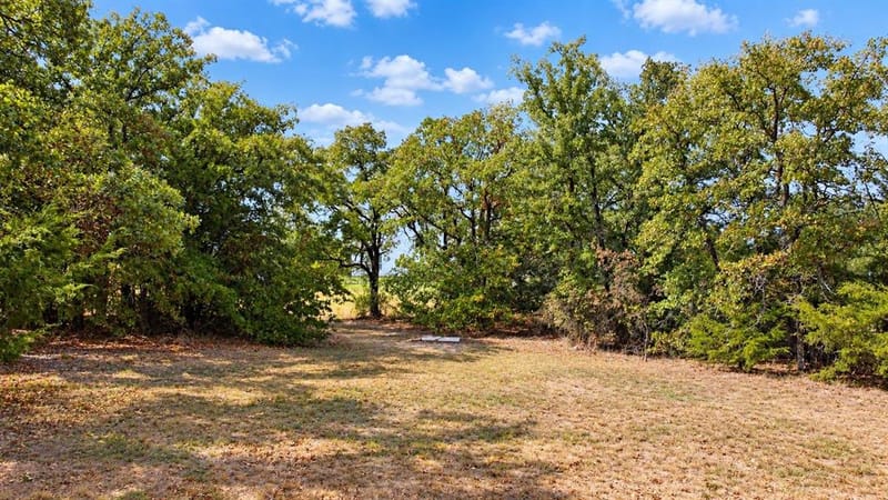 109 Bear Cat Court, Alvord TX 76225 - Photo 34